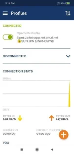 Screenshot_2020-08-02-03-15-11-064_net.openvpn.openvpn.webp