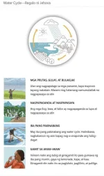 water_cycle.webp