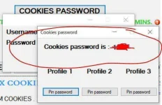 cøøkíés password.webp