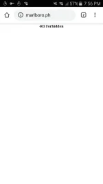 Screenshot_2020-08-02-19-56-34.webp
