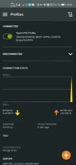 Screenshot_20200803_000106_net.openvpn.openvpn.webp