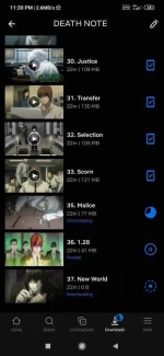 Screenshot_2020-08-04-23-30-36-355_com.netflix.mediaclient.jpg