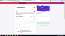 brave 3.webp