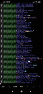 Screenshot_2020-08-07-16-23-19-312_com.termux.webp