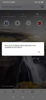 Screenshot_2020-08-07-19-56-25-438_com.brave.browser.webp