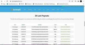 hashrapid payouts.webp