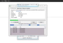 bilis.webp