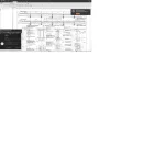 adasd.webp