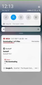 Screenshot_2020-08-13-00-13-09-717_com.android.chrome.webp