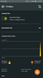 Screenshot_20200813-191831_OpenVPN Connect.webp