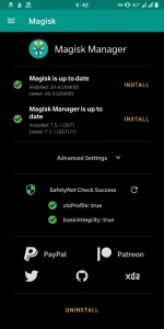 Screenshot_20200814-094258_Magisk_Manager.webp
