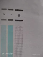 117931509_319263576149945_485251249981005765_n.webp