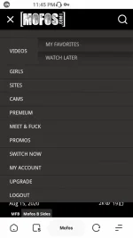 Screenshot_20200815-234513.webp Screenshot_20200815-234513.webp
