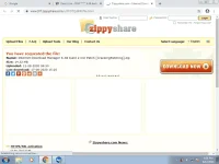 3.webp