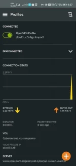 Screenshot_20200818_213720_net.openvpn.openvpn.webp