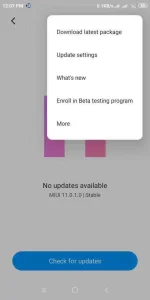 Screenshot_2020-08-19-12-07-25-509_com.android.updater.webp