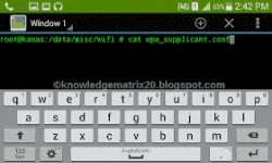 c.webp