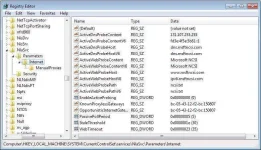 disable dns probing.jpg