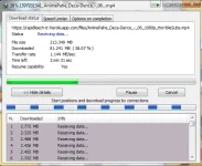 pic.webp