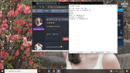 1598008720378.webp 1598008720378.webp