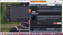 1598101958198.webp