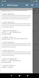 Screenshot_2020-08-23-01-01-56-545_kpn.soft.dev.kpntunnel.webp