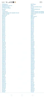 Screenshot_2020-08-23-17-51-32-59.webp