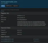 Screenshot_2020-08-23 tronsupernode com whois lookup - who is.webp