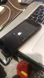 FB_IMG_15982478505642252.webp