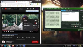 2.webp
