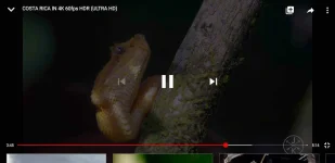 Screenshot_20200828-022731.webp