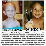 FB_IMG_15972507275131226.webp