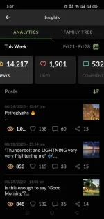 Screenshot_2020-08-28-17-57-48-35_718e278f467abcb17461474f1f2c637e.webp