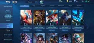 Screenshot_20200829-174247_Mobile Legends Bang Bang.webp