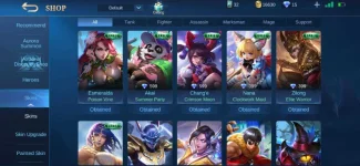 Screenshot_20200829-174219_Mobile Legends Bang Bang.webp