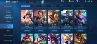 Screenshot_20200829-174207_Mobile Legends Bang Bang.webp