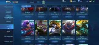 Screenshot_20200829-174140_Mobile Legends Bang Bang.webp