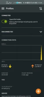 Screenshot_20200829_230947_net.openvpn.openvpn.webp