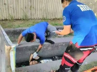 FB_IMG_15989189787793397.webp