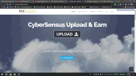 ts.webp