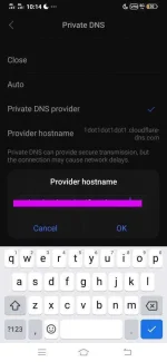 Private DNS Hostname.webp
