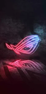 rog (1).webp