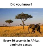 60seconds.webp