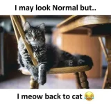 FB_IMG_15992149144893076.webp
