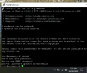 Capture.webp