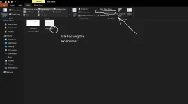 check the file extension in view category.webp