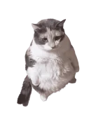 378700-removebg-preview.webp