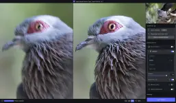 1772566165166.webp