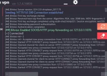 adsf.webp