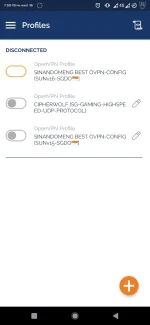 Screenshot_20200916-195019_OpenVPN_Connect.webp